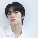 하이버랩 스포츠경향