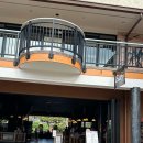 퀸스비치 이미지