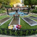 kiss My Dog | Elvis Presley