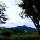 건강한 하루 보내시기를... 이미지