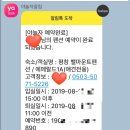 밸마운트펜션2 이미지