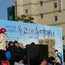 돌고래목욕탕 이미지