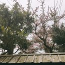 기린묘지공사 | [레츠고 후쿠오카] 170223 둘째 날, 걷다 지친 가라쓰