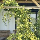 목향별관 이미지