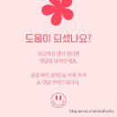 출판물 덕후의 대구 독립서점 고스트북스 방문 후기
