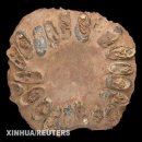 중국 국외로 유실된 희귀 공룡알집 화석 어떻게 되돌려오나? 이미지