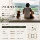 전문 아로미가구 이태리 수입가죽 맞춤 소파 2개월 사용 찐 후기 | 침대보다 더 자주 눕는 소파 실화? 😄