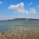 조류생태전시관 이미지