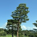 라이프골프장(실내) | 설해원 골프장/클럽하우스/호텔/카페