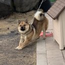 창천리경로당 이미지