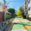 보라매태권도 이미지