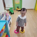 참새 허수아비 Daum카페