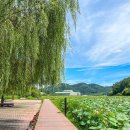 대평공원 화장실 이미지