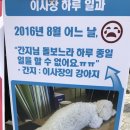 가교행복빌라