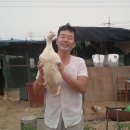 세심