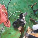 덕창빌딩 이미지