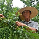 원우농장 이미지