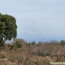 더로프트 민박 이미지