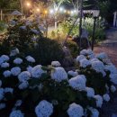 지리산자연애펜션 | 지리산펜션 산청 지리산 숙소 지리산자연애펜션 솔직후기