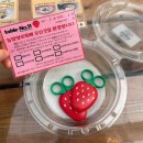 믿음 제1농장 | 강원도 춘천 딸기 체험, 농장알로록 아이와 딸기 따기 요리 활동 후기