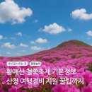 합천호둘레길 | 황매산 철쭉축제 여행경비 지원 꿀팁 산청 철쭉제 기간 기본정보 주차장