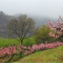 강변의 수채화 이미지