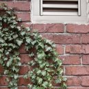 수봉영산마을 이미지