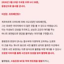 개나리연초