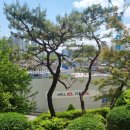 아현중학교 정문앞 이미지