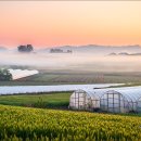 김동주농장 이미지