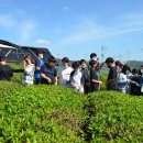 변산초등학교 이미지