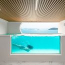 슈가브리움 3 이미지