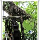 안산 식물원 이미지