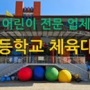 와이에스아이 이미지