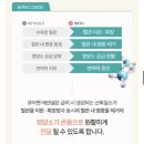 큐어엔 | 🐶 강아지영양제추천 - 큐어펫 에센셜 스킨&amp;아이 솔직 후기