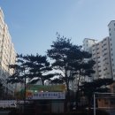 부영최고부동산 공인중개사사무소 이미지