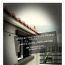 명당 공인중개사무소 이미지