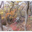 영남알프스 배내고개-배내봉-간월산-신불산-영축산-청수좌골 15 이미지