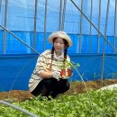 원정식품 이미지