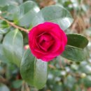 방가방가 이미지