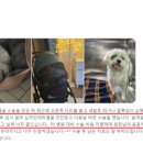 오산동물병원 이미지