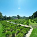 자연목장2 이미지