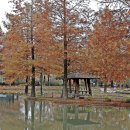 담양에코센터 이미지