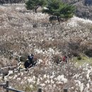 한국의 산하 100대 명산 정선 민둥산4 이미지