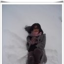 석  촌 Daum카페