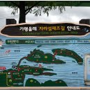 자라섬째즈길 이미지