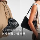 3, 4백만원대 로고리스 명품백 위시리스트 | 보테가베네타 더로우 피비파일로