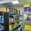 파파 모터스 이미지