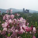 정인미술 - 강서구 마곡중앙1로 20 | 정인미술