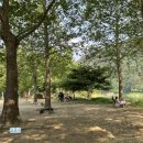 삼탄잔디구장 | [충주캠핑] 충주 삼탄유원지 캠핑 애견동반 무료캠핑후기💚